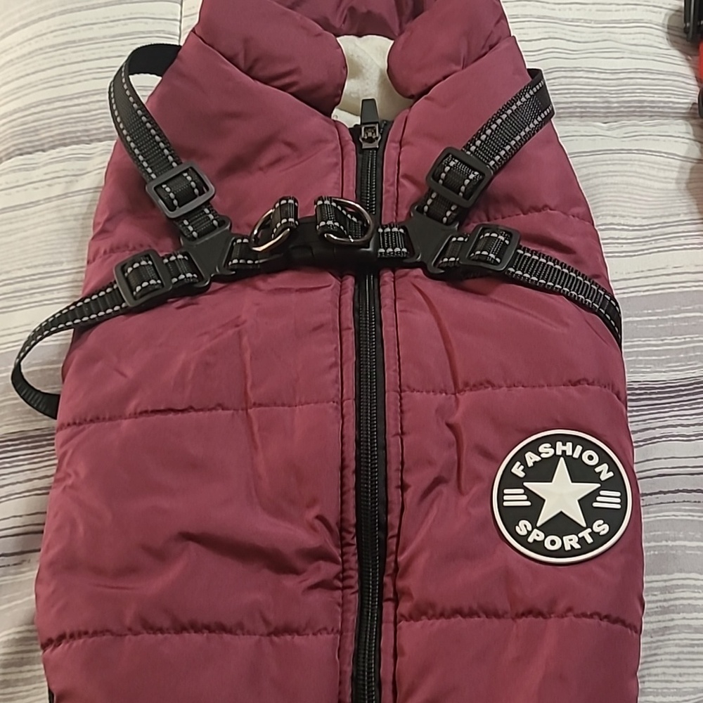 Small dogs vest - Picture 2 of 3